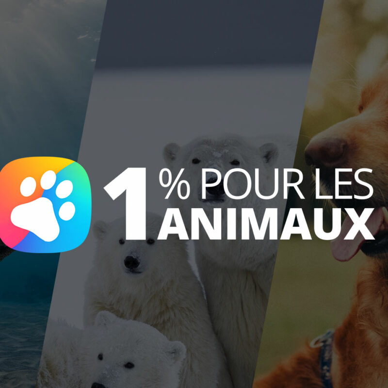 veterinaire 1 pourcent pour les aimaux