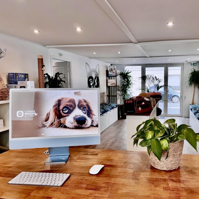 clinique du colibri vétérinaire levallois neuilly