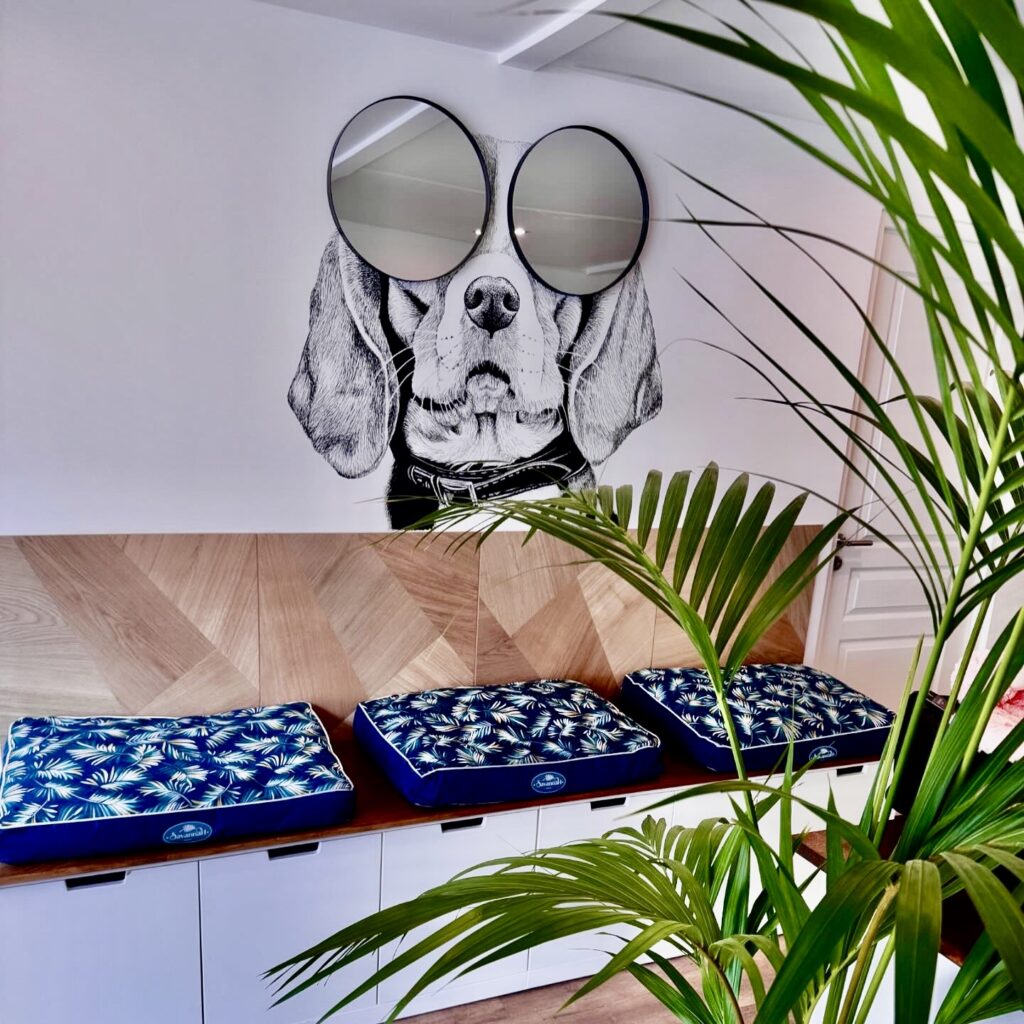 consultation chien vétérinaire Levallois consultation chien vétérinaire Levallois