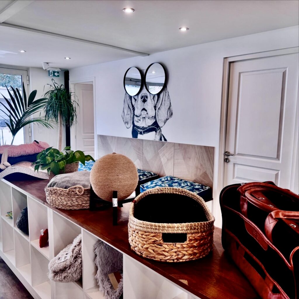 clinique-veterinaire-colibri-levallois-2 clinique vétérinaire colibri levallois neuilly