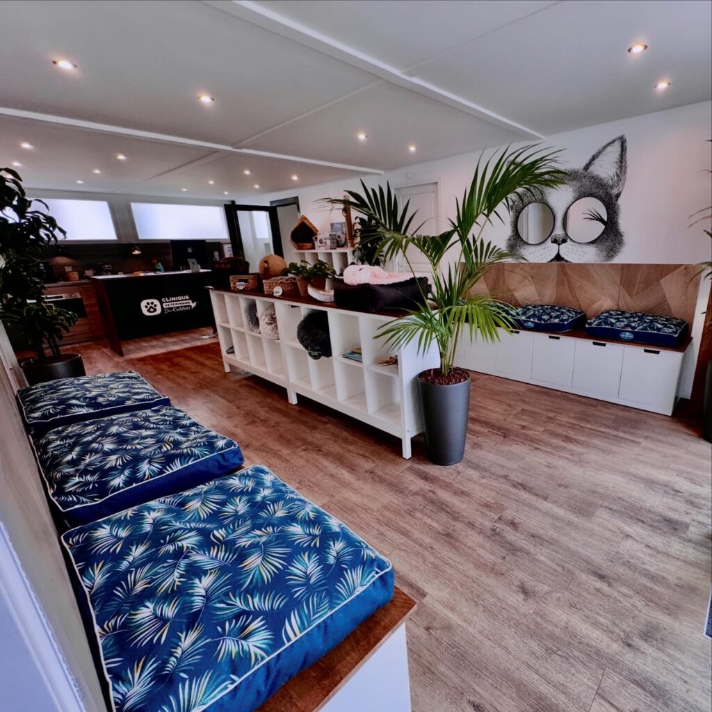 clinique-veterinaire-colibri-levallois-3 clinique vétérinaire colibri levallois neuilly