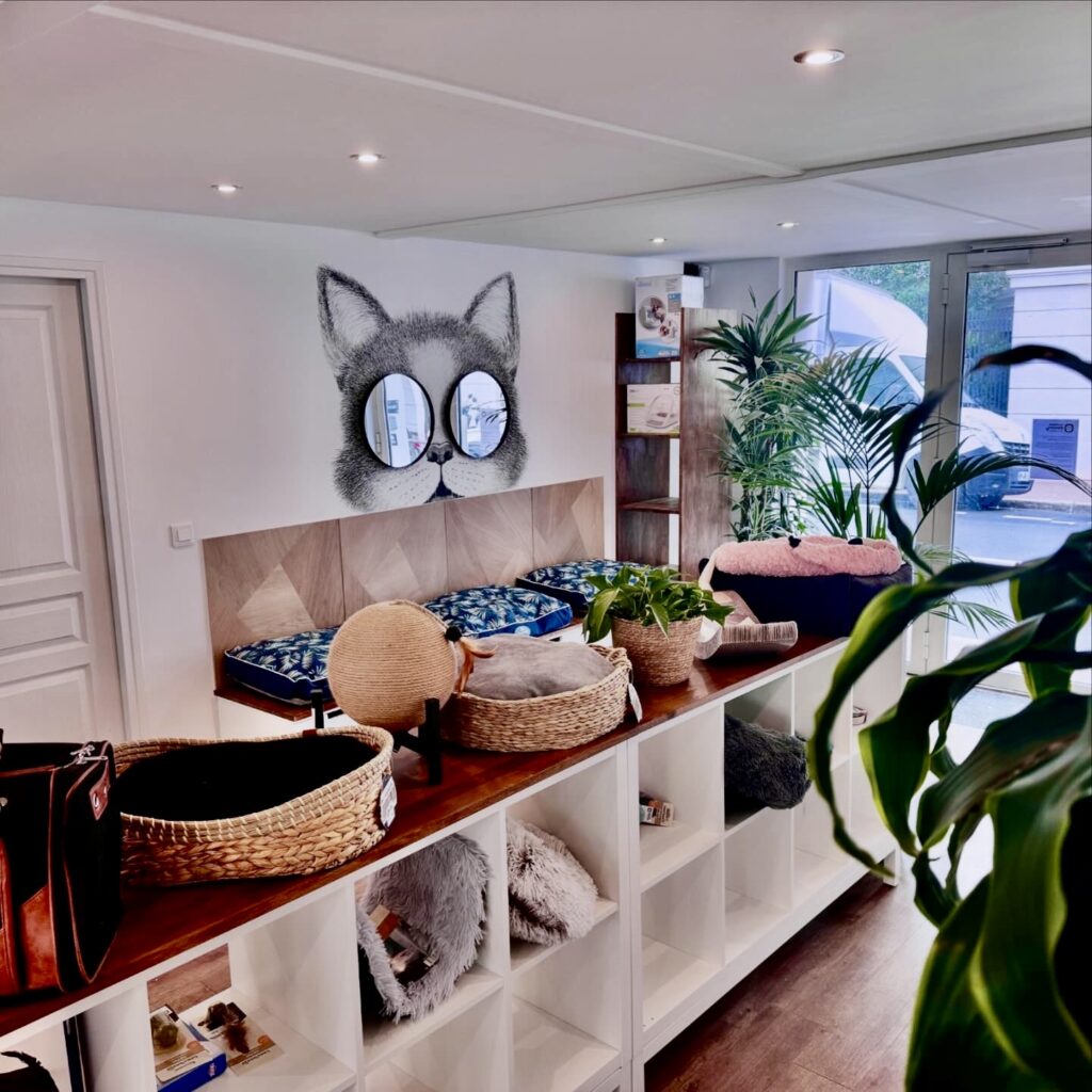 clinique-veterinaire-colibri-neuilly-4 clinique vétérinaire colibri levallois neuilly